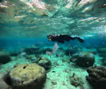 武藤潜水に投稿された画像（2024/1/21）