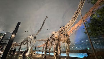 福井県立恐竜博物館に投稿された画像（2024/1/21）