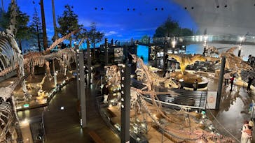 福井県立恐竜博物館に投稿された画像（2024/1/21）