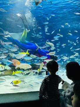 サンシャイン水族館に投稿された画像（2024/1/21）
