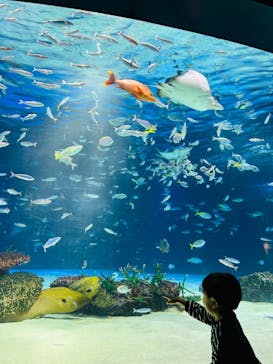 サンシャイン水族館に投稿された画像（2024/1/21）