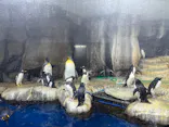 仙台うみの杜水族館に投稿された画像（2024/1/21）