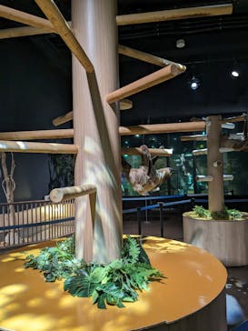 DMMかりゆし水族館に投稿された画像（2024/1/21）