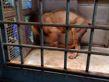 よこはま動物園ズーラシアに投稿された画像（2024/1/21）