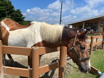 那須どうぶつ王国に投稿された画像（2024/1/21）