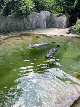 那須どうぶつ王国に投稿された画像（2024/1/21）