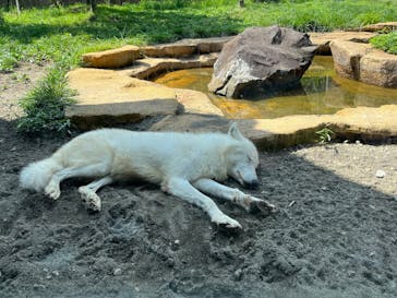 那須どうぶつ王国に投稿された画像（2024/1/21）