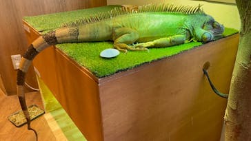 Moff animal cafe 小田原ダイナシティ店に投稿された画像（2024/1/21）