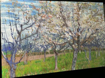 ゴッホ・アライブに投稿された画像（2024/1/21）