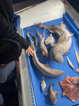 新江ノ島水族館に投稿された画像（2024/1/21）