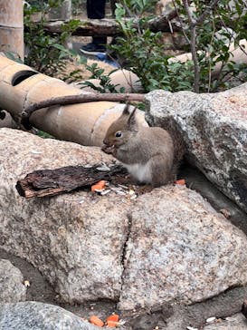 神戸どうぶつ王国に投稿された画像（2024/1/21）