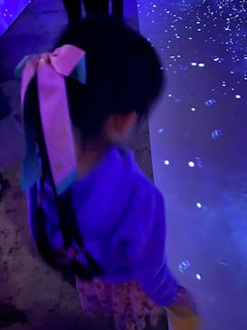 ゴッホ・アライブに投稿された画像（2024/1/21）