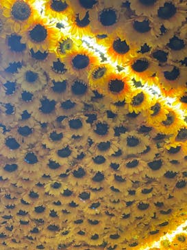 ゴッホ・アライブに投稿された画像（2024/1/21）