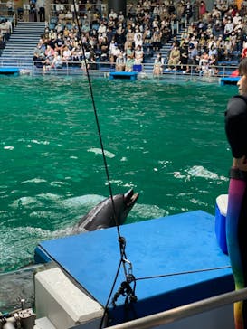 マクセル アクアパーク品川に投稿された画像（2024/1/21）