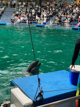 マクセル アクアパーク品川に投稿された画像（2024/1/21）