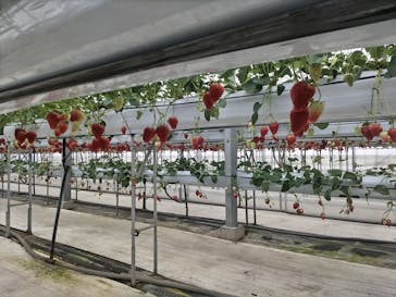 株式会社こまち野に投稿された画像（2024/1/21）