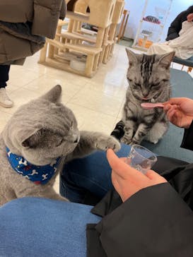 Moff animal world BIGHOPガーデンモール印西店に投稿された画像（2024/1/21）