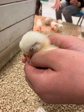 Moff animal world BIGHOPガーデンモール印西店に投稿された画像（2024/1/21）