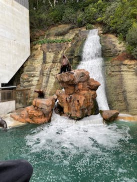 城崎マリンワールドに投稿された画像（2024/1/21）