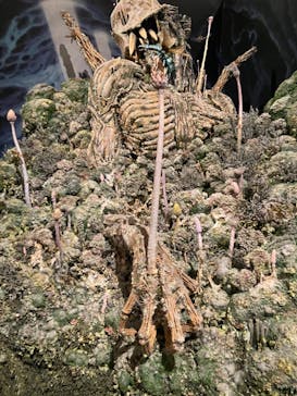 アニメージュとジブリ展に投稿された画像（2024/1/21）