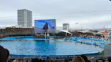 名古屋港水族館に投稿された画像（2024/1/21）