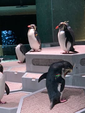 AOAO SAPPOROに投稿された画像（2024/1/21）