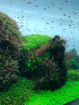 すみだ水族館に投稿された画像（2024/1/21）
