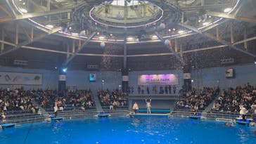 マクセル アクアパーク品川に投稿された画像（2024/1/21）