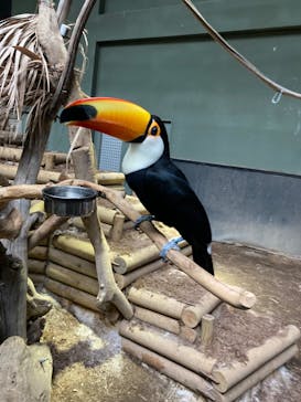 カワスイ 川崎⽔族館に投稿された画像（2024/1/21）