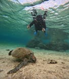 宮古島 ADVENTURE PiPi（ミヤコジマ アドベンチャー ピピ）に投稿された画像（2024/1/21）