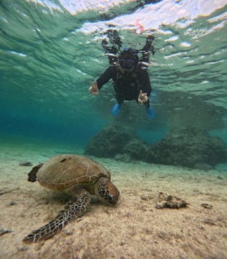 宮古島 ADVENTURE PiPi（ミヤコジマ アドベンチャー ピピ）に投稿された画像（2024/1/21）