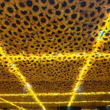 ゴッホ・アライブに投稿された画像（2024/1/21）