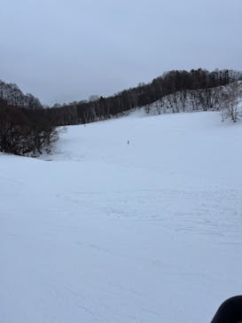 水上高原 藤原スキー場に投稿された画像（2024/1/21）