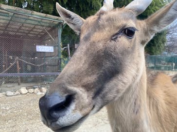 那須サファリパークに投稿された画像（2024/1/21）