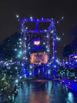 江の島シーキャンドル×新江ノ島水族館に投稿された画像（2024/1/21）