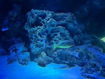 サンシャイン水族館に投稿された画像（2024/1/21）