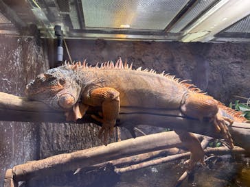 マクセル アクアパーク品川に投稿された画像（2024/1/21）