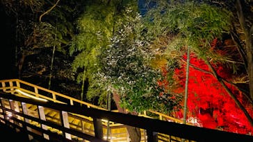 ニジゲンノモリに投稿された画像（2024/1/21）