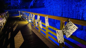 ニジゲンノモリに投稿された画像（2024/1/21）