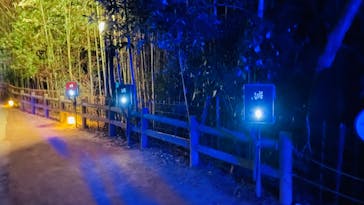 ニジゲンノモリに投稿された画像（2024/1/21）