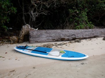 石垣島 ADVENTURE PiPi（イシガキジマアドベンチャーピピ）に投稿された画像（2024/1/19）