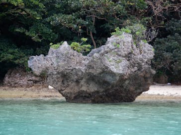 石垣島 ADVENTURE PiPi（イシガキジマアドベンチャーピピ）に投稿された画像（2024/1/19）