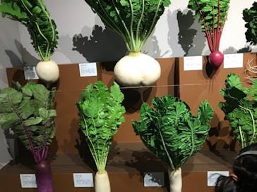 特別展「和食 ～日本の自然、人々の知恵～」に投稿された画像（2024/1/21）