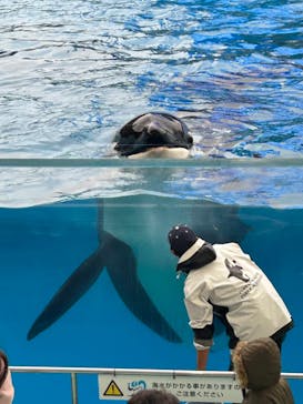 名古屋港水族館に投稿された画像（2024/1/21）