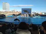 名古屋港水族館に投稿された画像（2024/1/22）