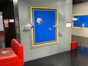 とりっくあーとぴあ日光に投稿された画像（2024/1/22）