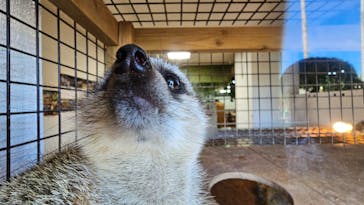 美らヤシパークオキナワ・東南植物楽園に投稿された画像（2024/1/22）