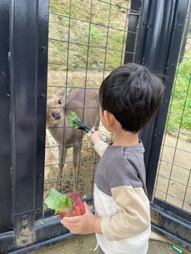 沖縄こどもの国に投稿された画像（2024/1/22）