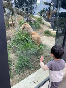 沖縄こどもの国に投稿された画像（2024/1/22）