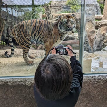 神戸どうぶつ王国に投稿された画像（2024/1/22）